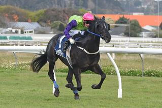 Waldorf wins the Listed HS Dyke Wanganui Guineas. Photo: Race Images Palmerston North.